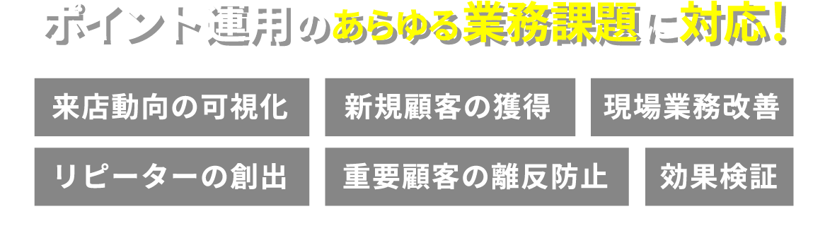 ポイント運用のあらゆる業務課題に対応！